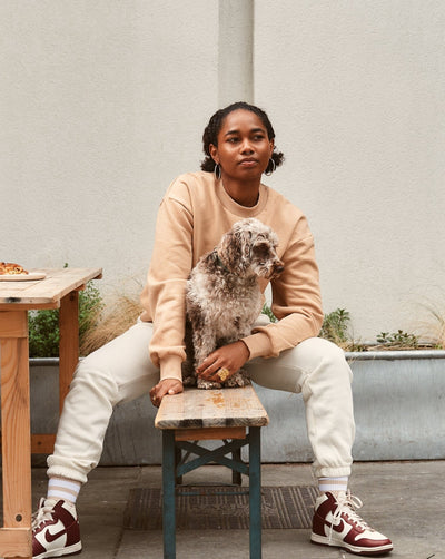 COSY CREW SWEATER  IN DESERT - thetstore_clothing